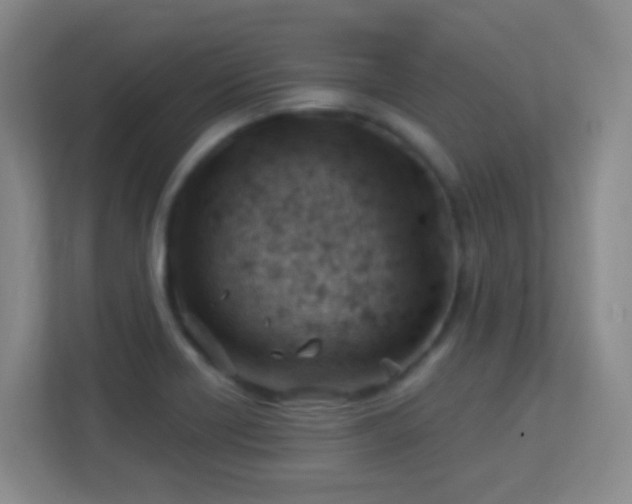 X0000113901418200909241428