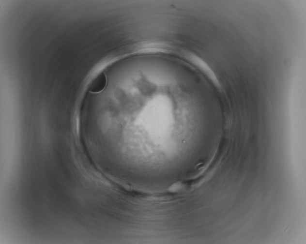 X0000113901419200909241428