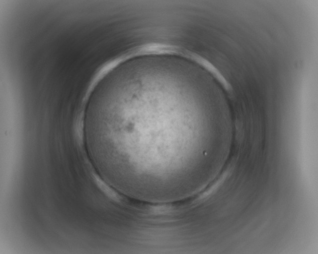 X0000113901421200909241428