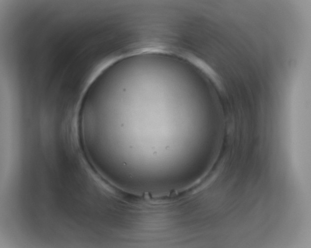 X0000113901423200909241428