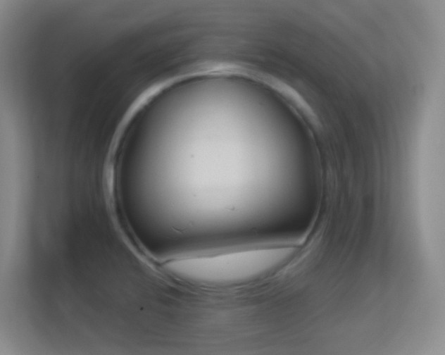 X0000113901424200909241428