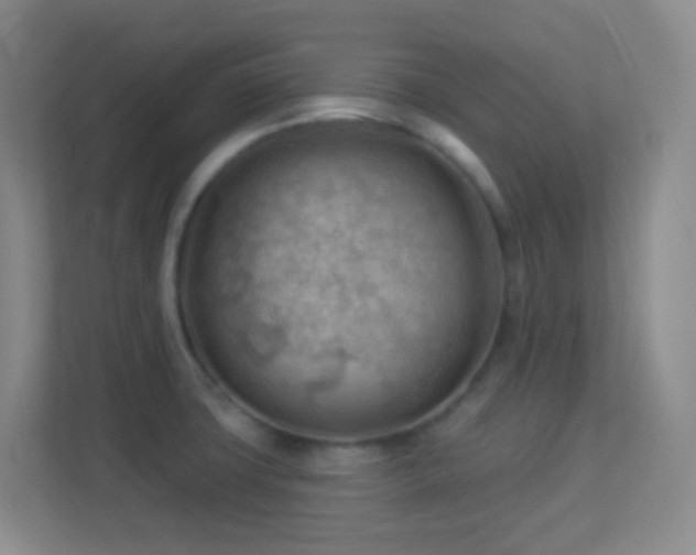 X0000113901427200909241428
