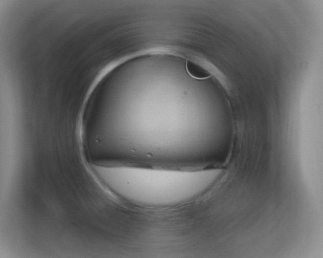 X0000113901428200909241428