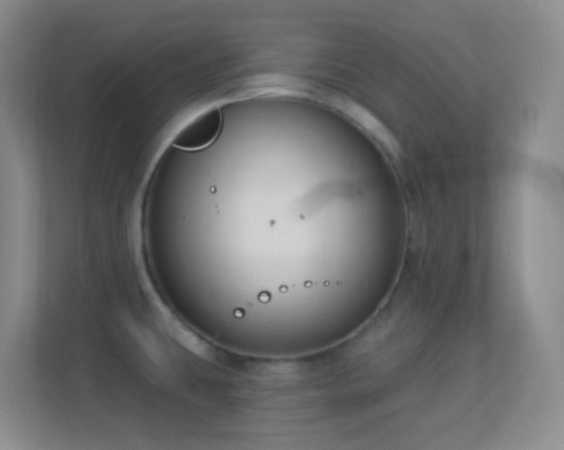 X0000113901431200909241428