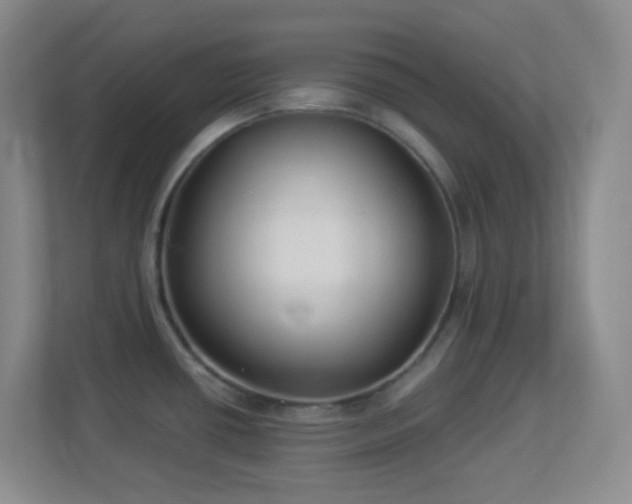 X0000113901434200909241428