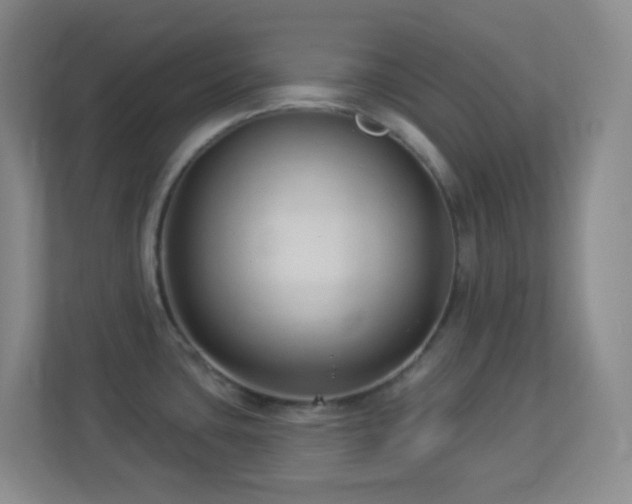 X0000113901435200909241428