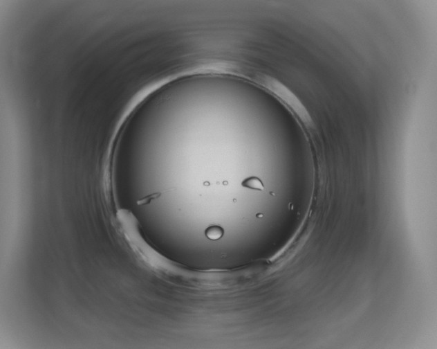 X0000113901436200909241428