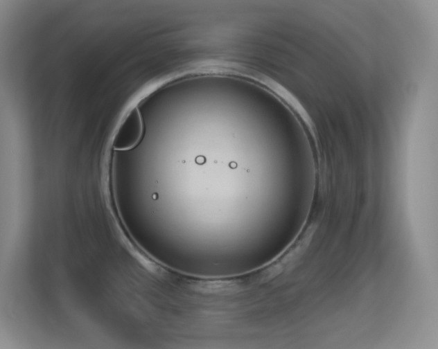 X0000113901437200909241428