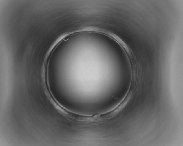 X0000113901438200909241428
