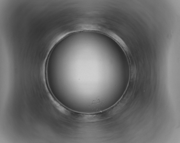 X0000113901439200909241428