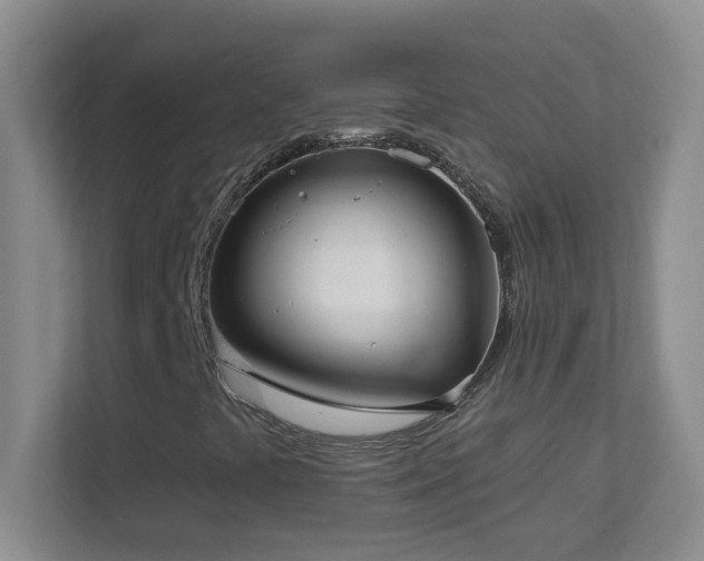 X0000113901441200909241428