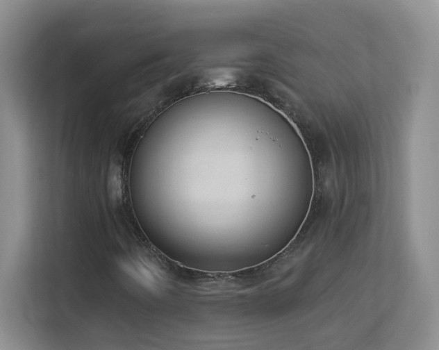 X0000113901442200909241428