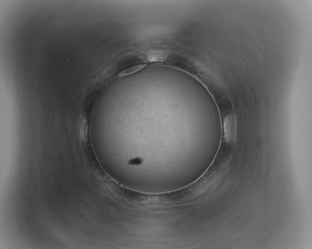 X0000113901443200909241428