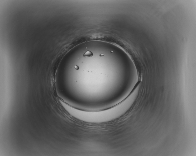 X0000113901444200909241428