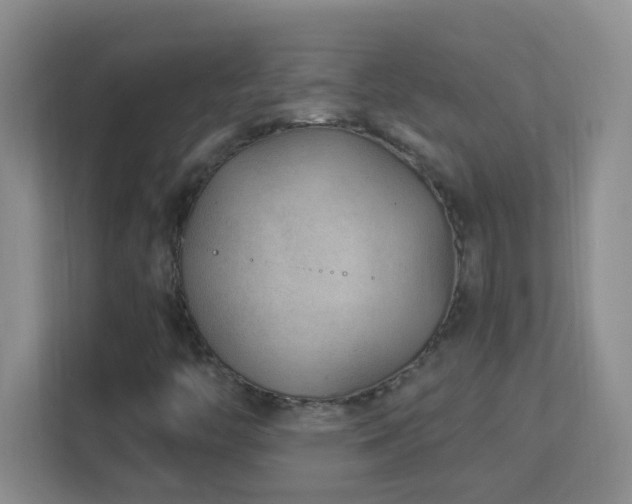X0000113901446200909241428