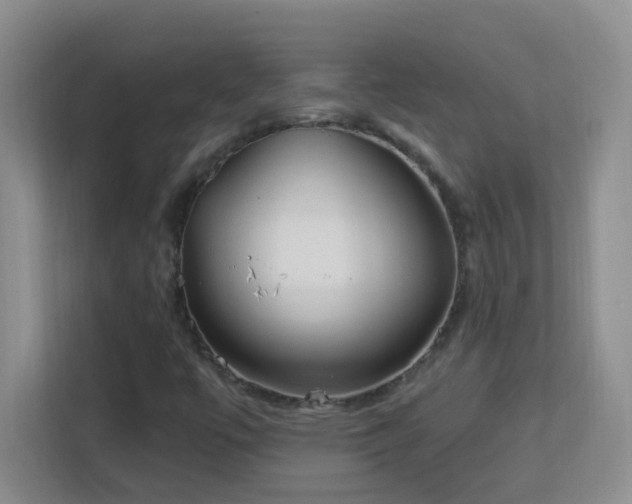 X0000113901447200909241428