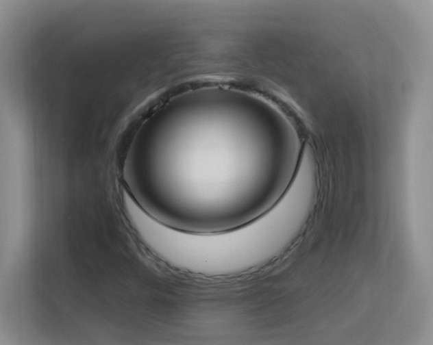 X0000113901448200909241428