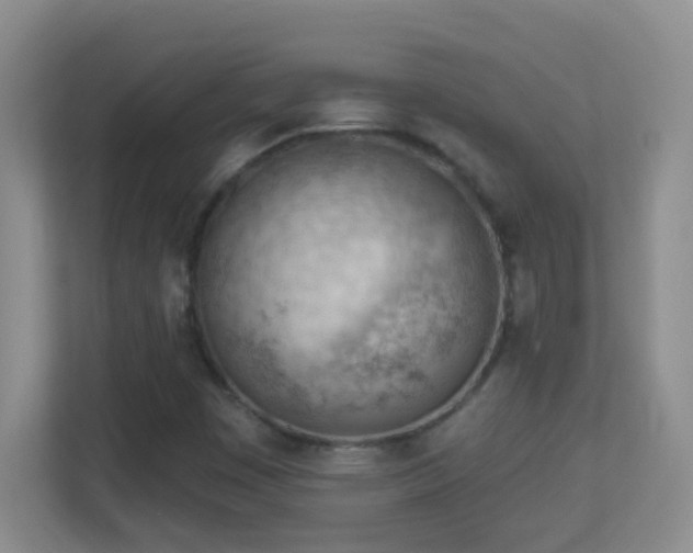 X0000113901449200909241428