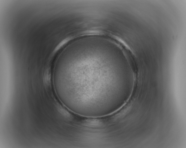 X0000113901450200909241428