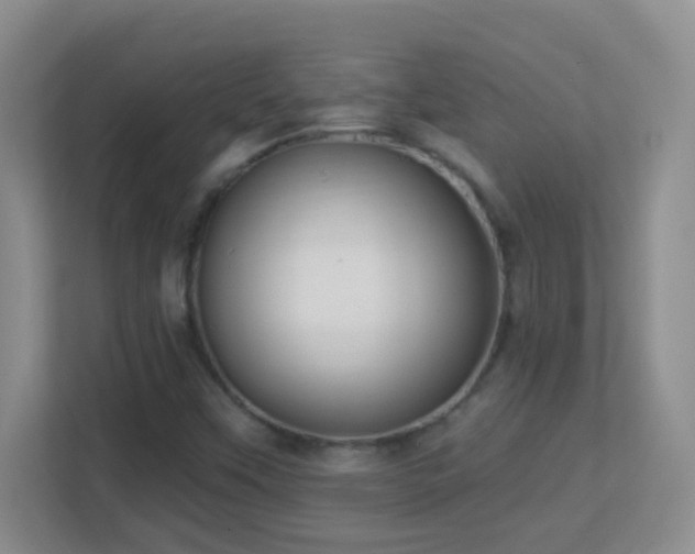 X0000113901451200909241428