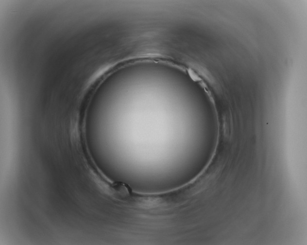 X0000113901452200909241428