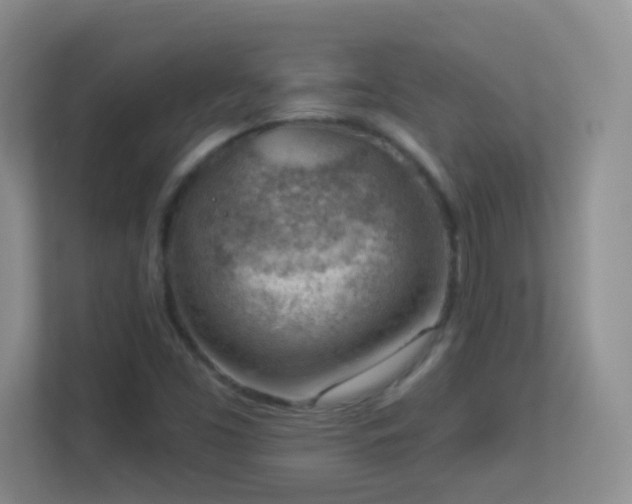 X0000113901453200909241428