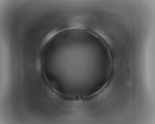 X0000113901455200909241428