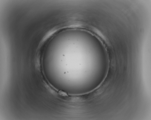 X0000113901456200909241428