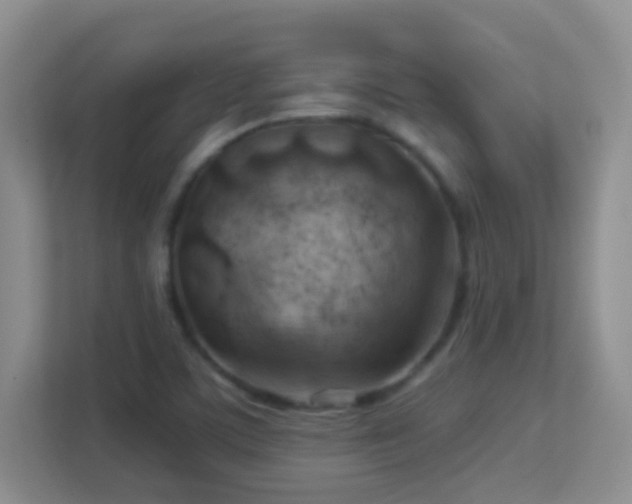 X0000113901459200909241428