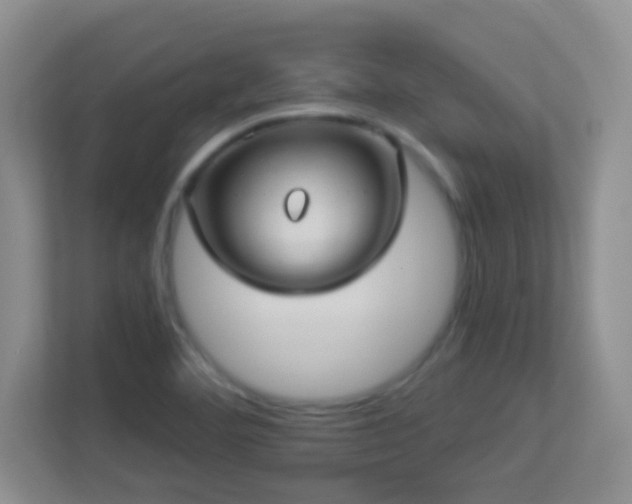 X0000113901460200909241428