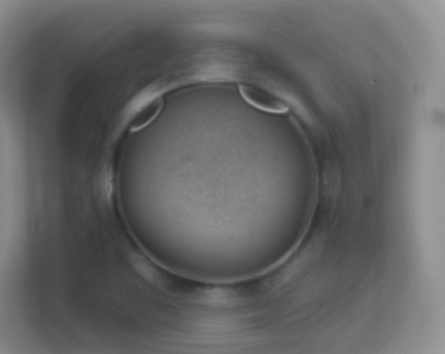 X0000113901461200909241428