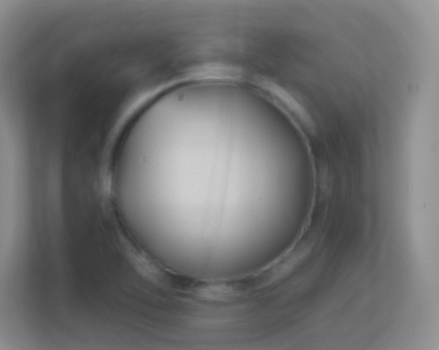X0000113901462200909241428