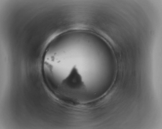 X0000113901463200909241427