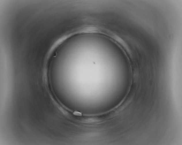 X0000113901464200909241427