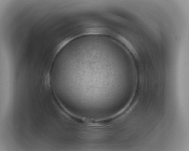X0000113901465200909241427