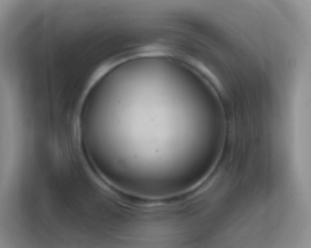 X0000113901467200909241427
