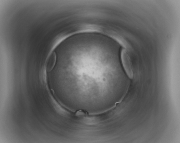 X0000113901468200909241427