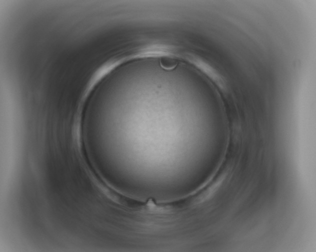 X0000113901469200909241427