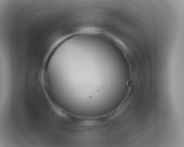 X0000113901470200909241427