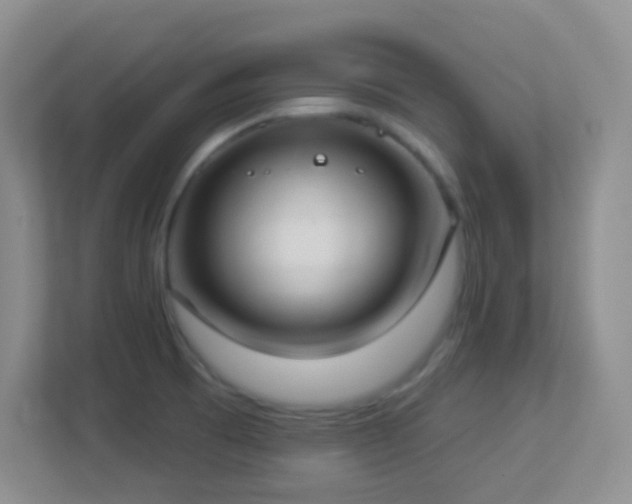 X0000113901473200909241427