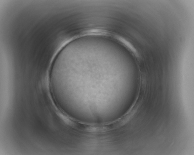 X0000113901474200909241427