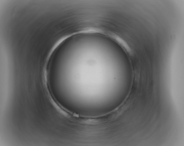 X0000113901476200909241427