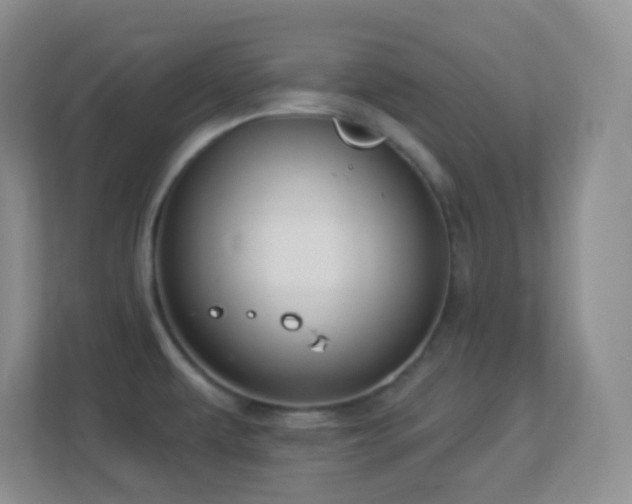 X0000113901479200909241427
