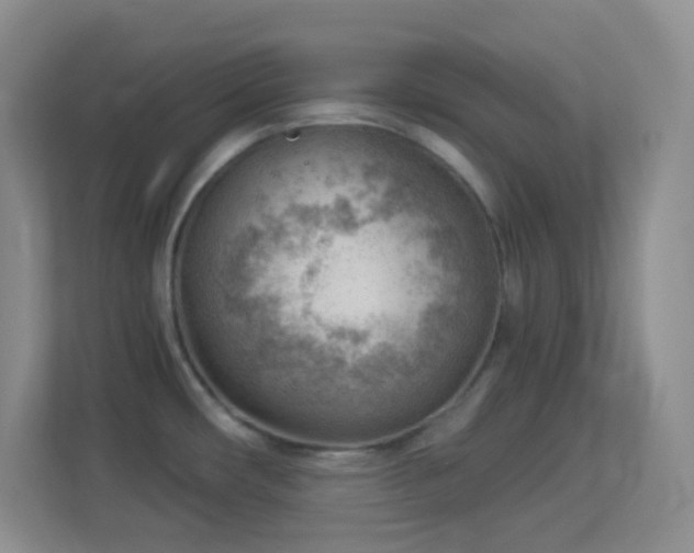 X0000113901482200909241427