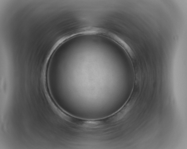 X0000113901483200909241427