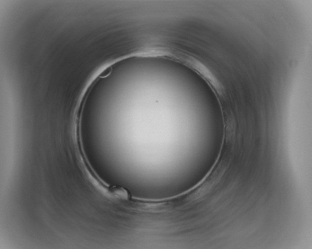 X0000113901484200909241427