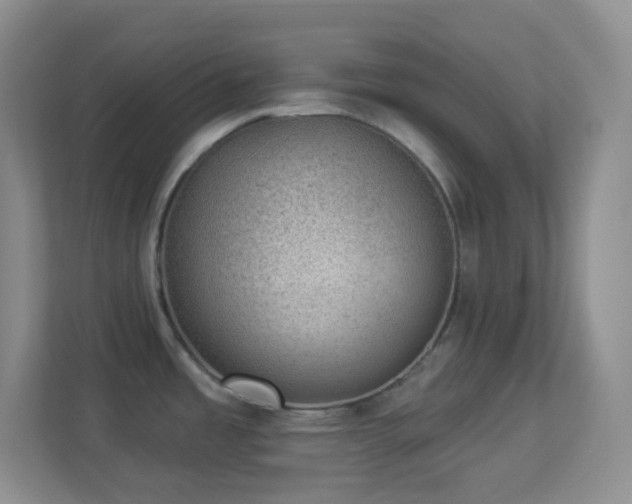 X0000113901485200909241427