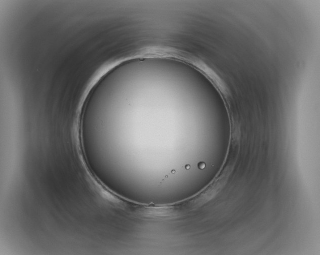 X0000113901486200909241427