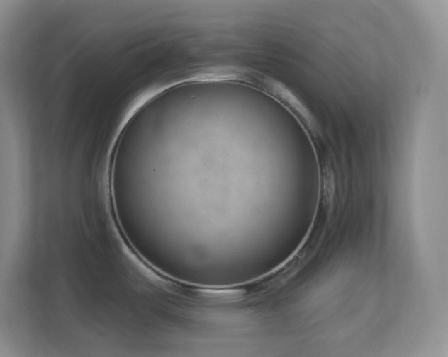 X0000113901487200909241427