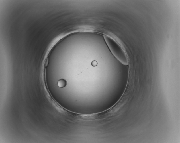 X0000113901488200909241427